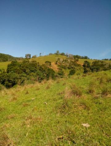imagem 3 - Rural - Sitio imagem 3 - Rural - Sitio