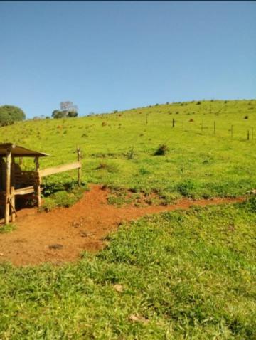 imagem 5 - Rural - Sitio imagem 5 - Rural - Sitio