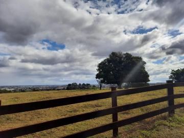 imagem 4 - Rural - Área imagem 4 - Rural - Área