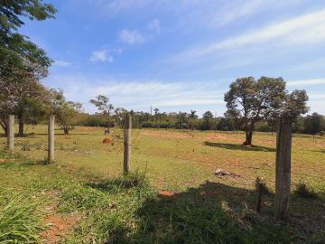 imagem 1 - Terreno - Lote imagem 1 - Terreno - Lote