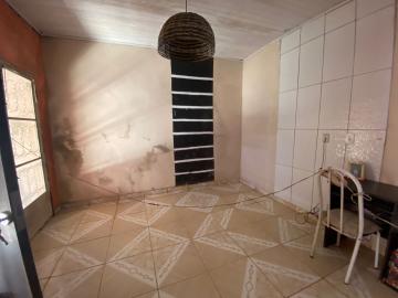 imagem 5 - Casa - Padrão imagem 5 - Casa - Padrão