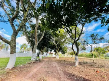 imagem 1 - Rural - Chacara imagem 1 - Rural - Chacara