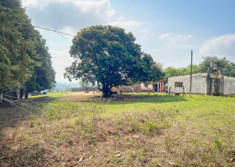 imagem 1 - Rural - Sitio imagem 1 - Rural - Sitio