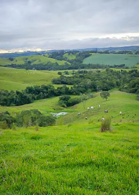 Alambari Bairro Tatetu Rural Venda R$950.000,00  Area do terreno 181500.00m2 