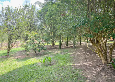 imagem 3 - Rural - Sitio imagem 3 - Rural - Sitio
