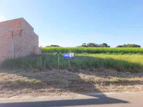 imagem 1 - Terreno - Lote imagem 1 - Terreno - Lote