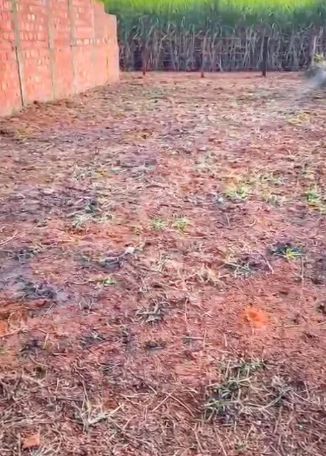 imagem 3 - Terreno - Lote imagem 3 - Terreno - Lote