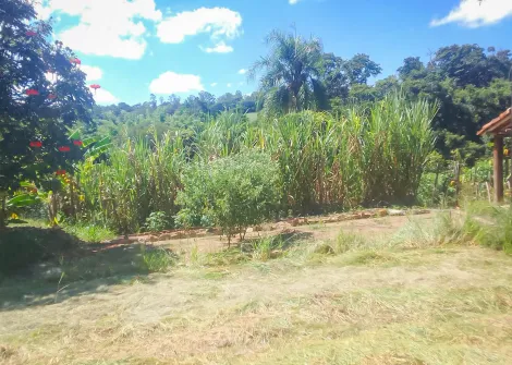 imagem 4 - Rural - Sitio imagem 4 - Rural - Sitio