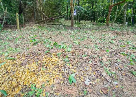 imagem 3 - Terreno - Lote imagem 3 - Terreno - Lote