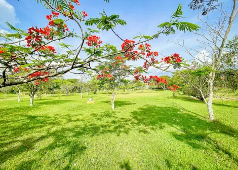 imagem 4 - Casa - Chácara imagem 4 - Casa - Chácara