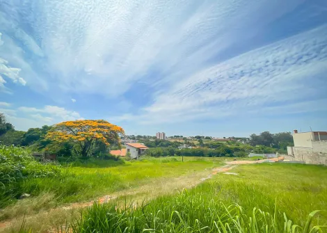 Itapetininga Vila Monteiro Area Venda R$7.312.000,00  Area do terreno 22984.06m2 