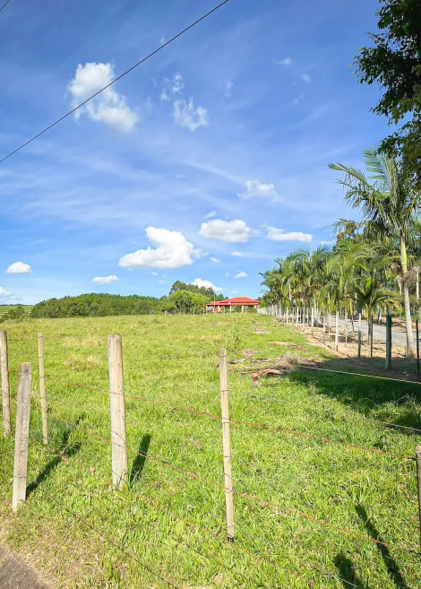 imagem 1 - Rural - Sitio imagem 1 - Rural - Sitio