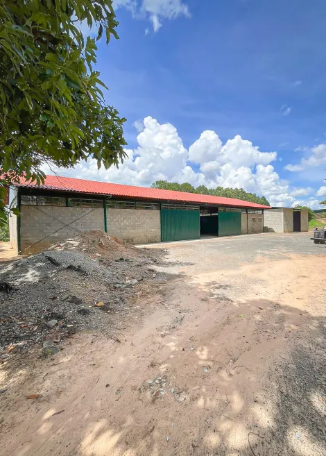 imagem 3 - Rural - Sitio imagem 3 - Rural - Sitio