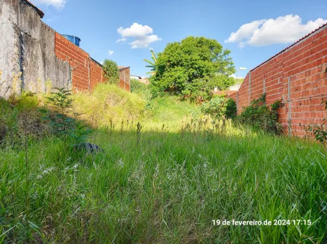 imagem 4 - Comercial - Barracão imagem 4 - Comercial - Barracão