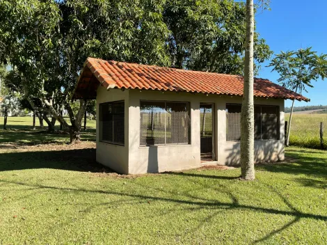 imagem 3 - Rural - Sitio imagem 3 - Rural - Sitio
