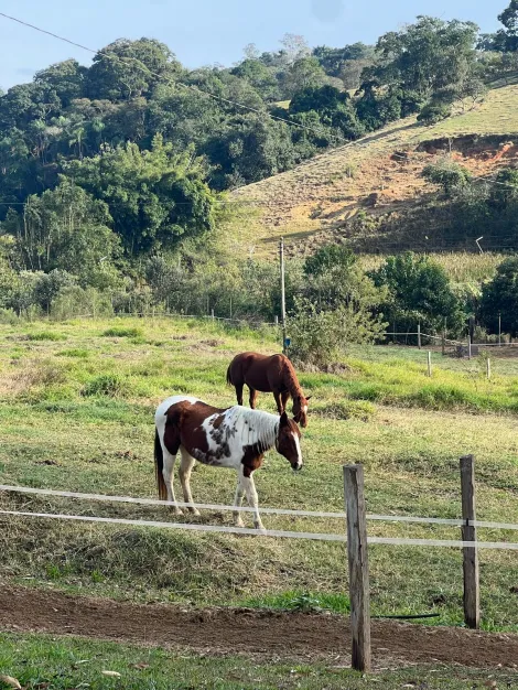 imagem 5 - Comercial - Haras imagem 5 - Comercial - Haras