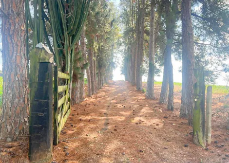 imagem 1 - Rural - Sitio imagem 1 - Rural - Sitio