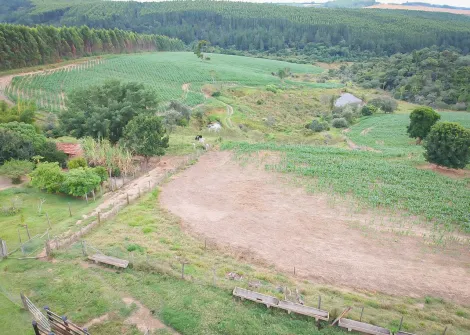 imagem 3 - Rural - Sitio imagem 3 - Rural - Sitio