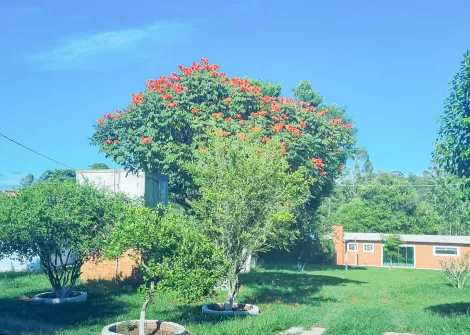 Alambari Tatetu Chacara Venda R$1.800.000,00  Area do terreno 9353.48m2 Area construida 556.70m2