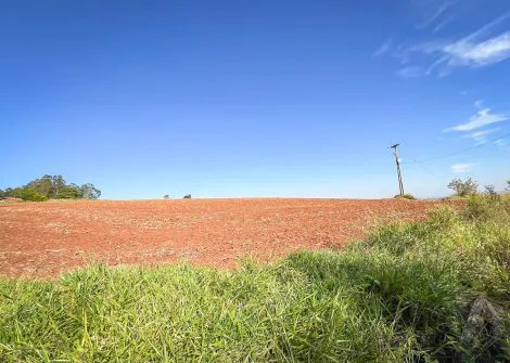 imagem 2 - Casa - Chácara imagem 2 - Casa - Chácara