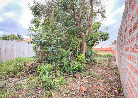 imagem 1 - Terreno - Lote imagem 1 - Terreno - Lote