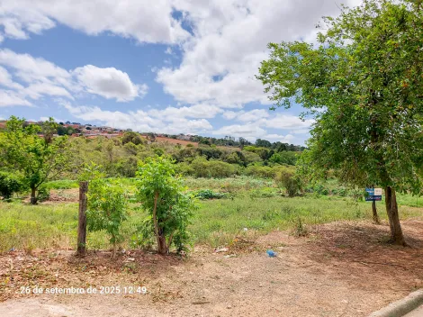 imagem 3 - Terreno - Lote imagem 3 - Terreno - Lote