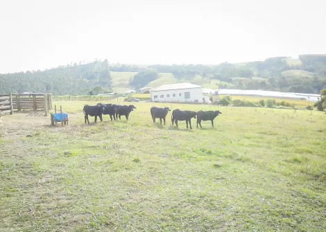 imagem 2 - Rural - Sitio imagem 2 - Rural - Sitio