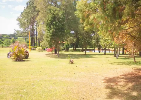 imagem 3 - Rural - Sitio imagem 3 - Rural - Sitio