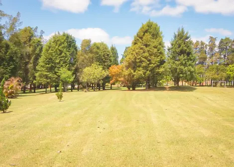 imagem 5 - Rural - Sitio imagem 5 - Rural - Sitio